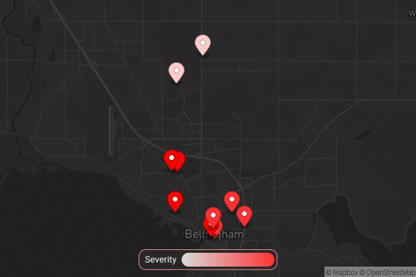 Bellingham incident heatmap for September 29, 2025